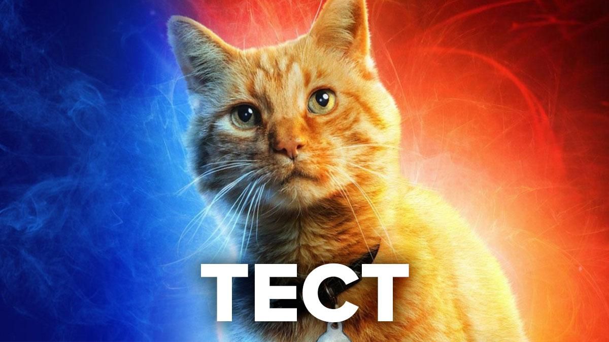 С какого фильма этот кот: узнайте знаменитых пушистиков в тесте С какого фильма этот кот: узнайте знаменитых пушистиков в тесте