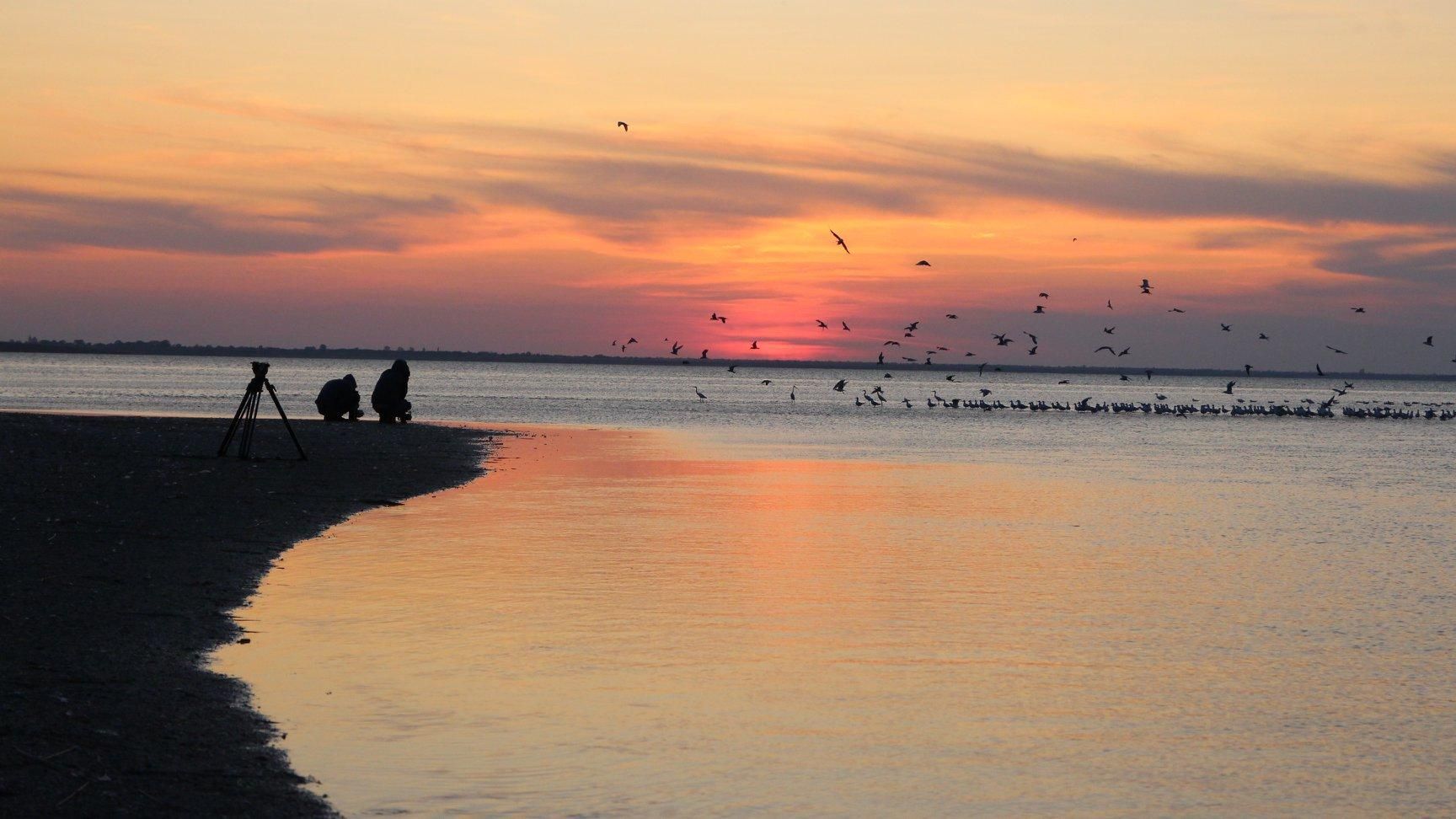 Фильм украинского режиссера победил на чешском форуме Фильм украинского режиссера победил на чешском форуме