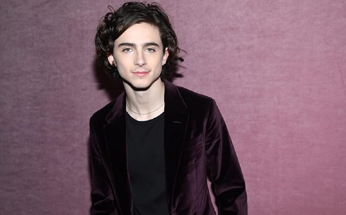 Тимоти Шаламе сыграет молодого Вилли Вонка Тимоти Шаламе сыграет молодого Вилли Вонка