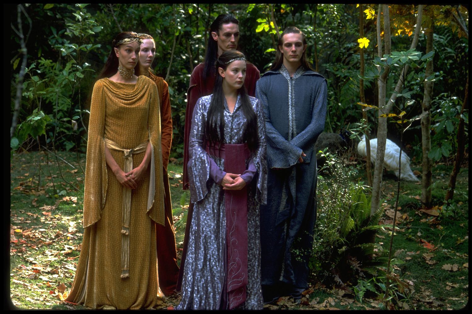 Володар перснів: війна рогіримів 2021: аніме за мотивами трилогії Володар перснів: війна рогіримів 2021: аніме за мотивами трилогії