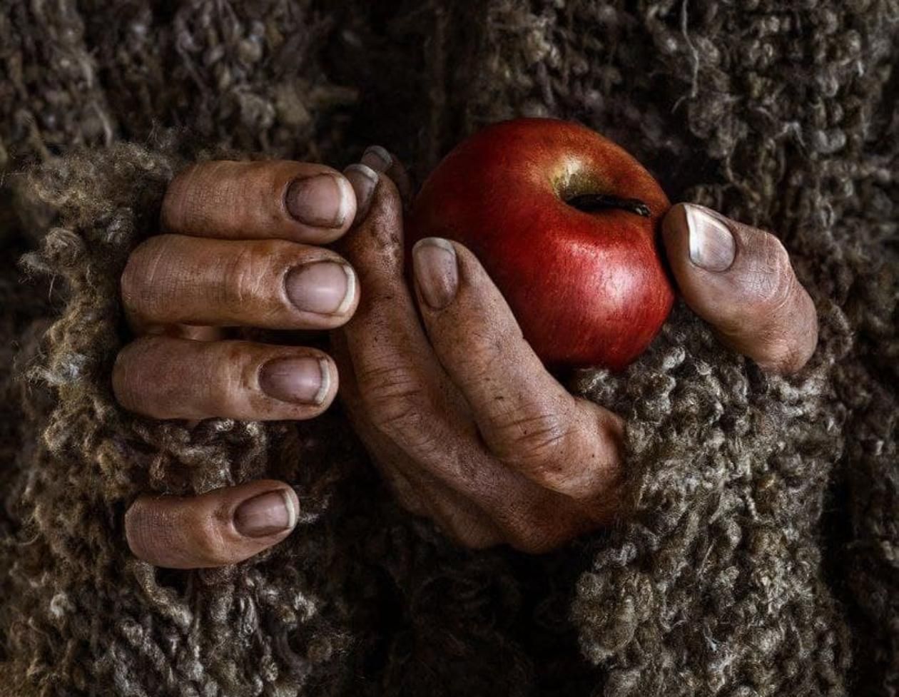 Amazon показал нестандартные постеры сериала "Властелин колец: Кольца Власти": что изображено Amazon показал нестандартные постеры сериала "Властелин колец: Кольца Власти": что изображено