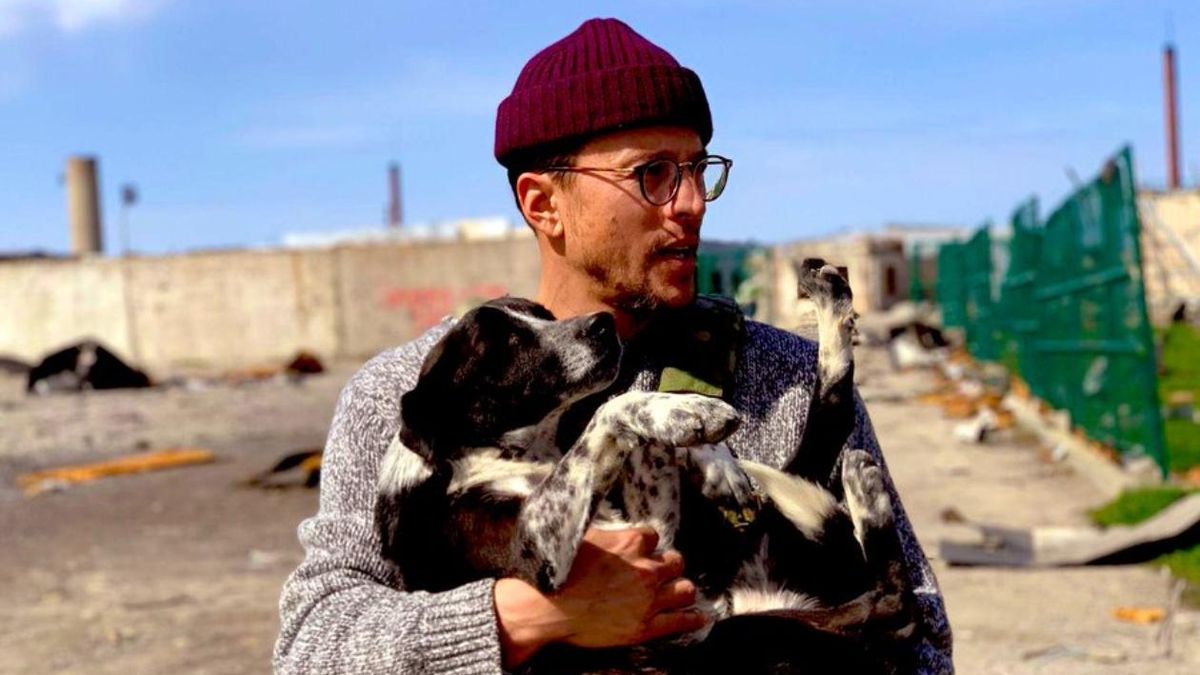 Режиссер "007: Не время умирать" Фукунага из-под завалов спас собаку в Харьковской области - Кино