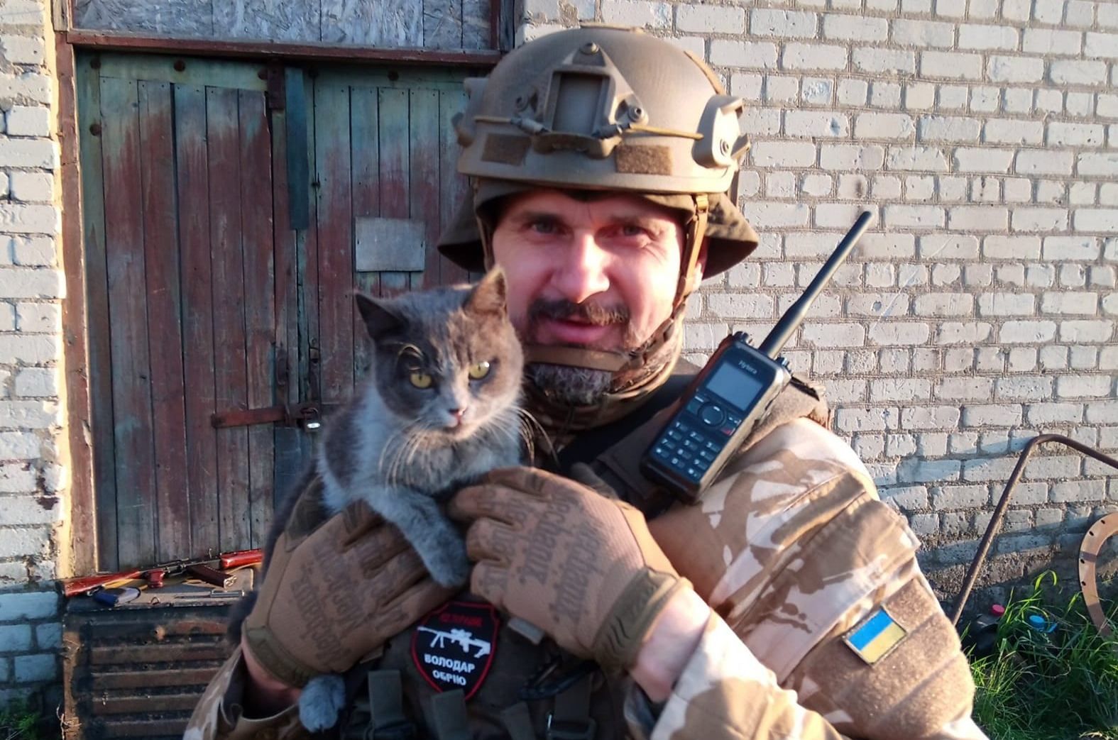 "Їхньому мирному життю також прийшов кінець"  Олег Сенцов показав фото з врятованим котом - Кіно