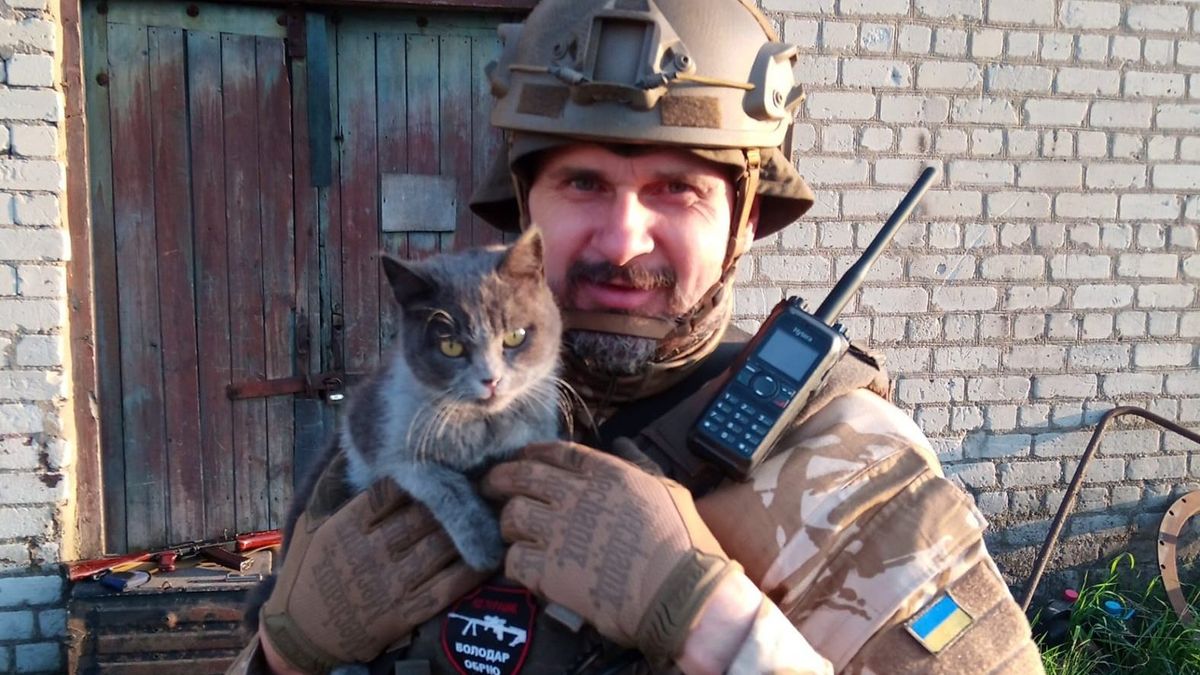 "Их мирной жизни тоже пришел конец"  Олег Сенцов показал фото со спасенным котом - Кино