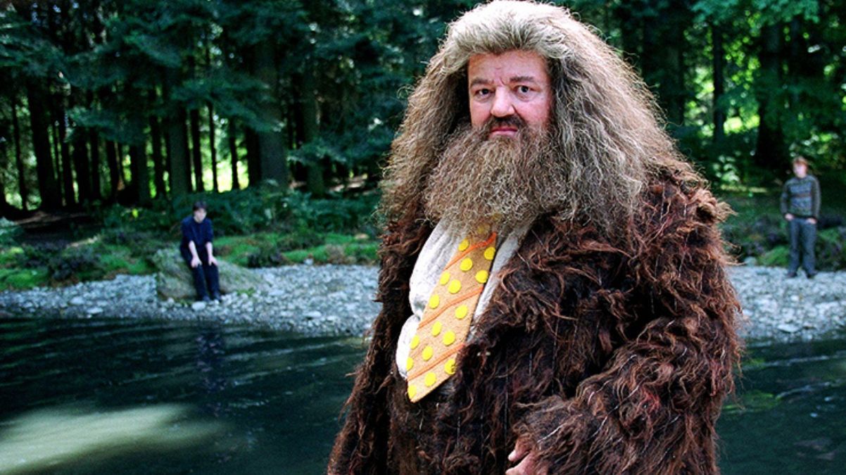 Умер Робби Колтрейн – он сыграл Хагрида в Гарри Поттере Умер Робби Колтрейн – он сыграл Хагрида в Гарри Поттере