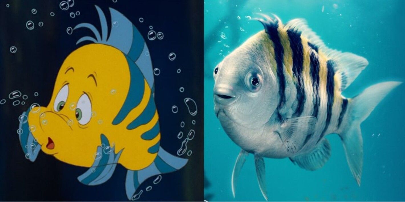 Русалочка 2023 – зрители раскритиковали персонажей фильма – реакция Джейкоба Тремблея Русалочка 2023 – зрители раскритиковали персонажей фильма – реакция Джейкоба Тремблея