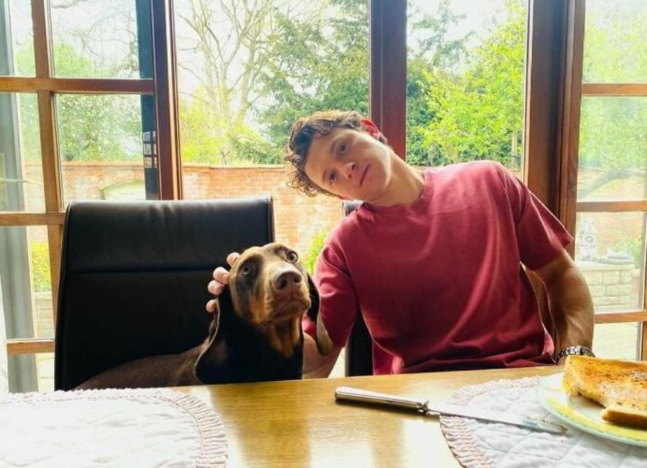 Голлівудські актори, які не користуються соцмережами – цікава добірка Голлівудські актори, які не користуються соцмережами – цікава добірка