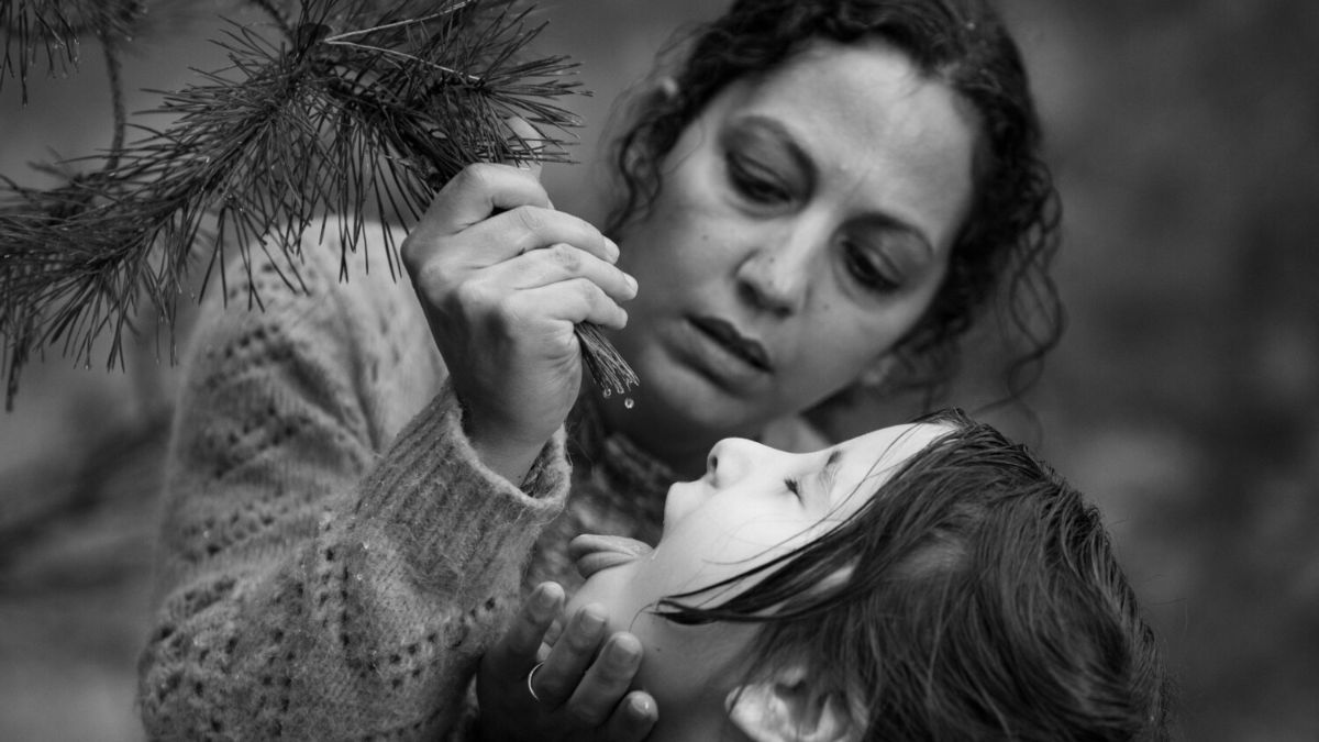 Фільм "Зелений кордон" Фільм "Зелений кордон"