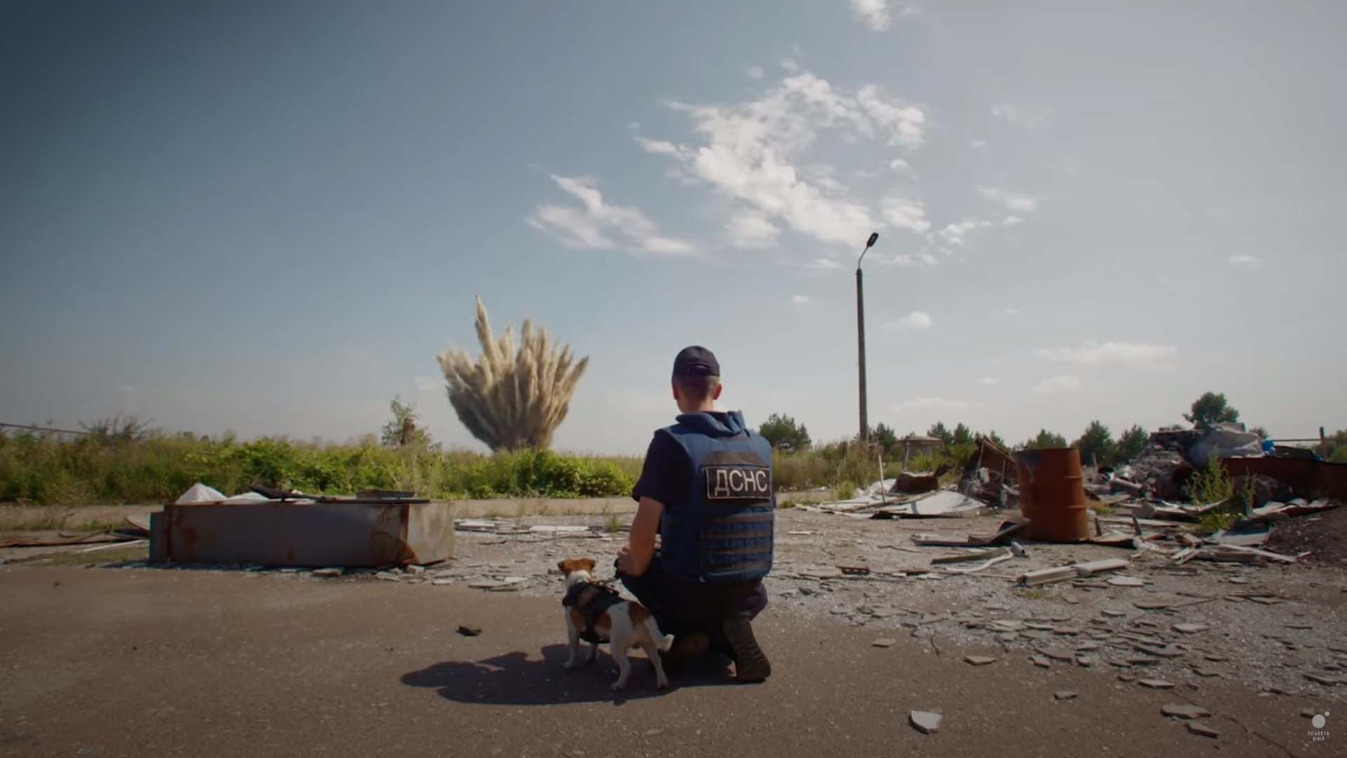 "Мы, наши любимцы и война" "Мы, наши любимцы и война"