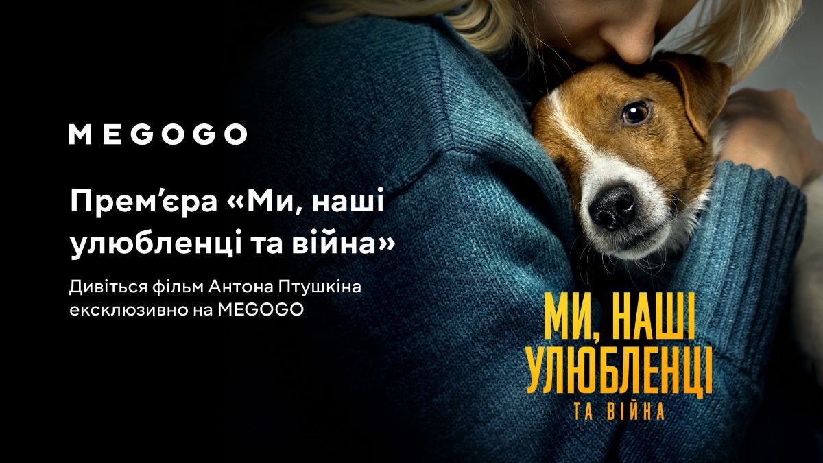 Фильм "Мы, наши любимцы и война" Фильм "Мы, наши любимцы и война"