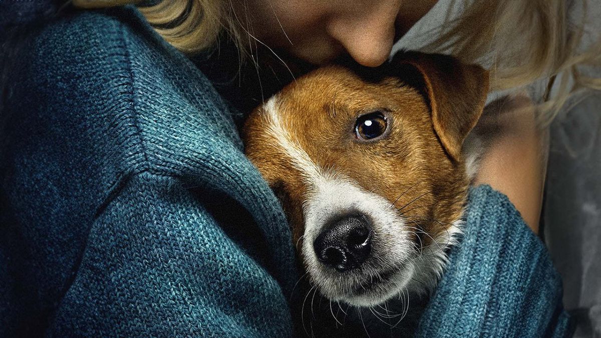 Фильм Антона Птушкина появился на Netflix Фильм Антона Птушкина появился на Netflix