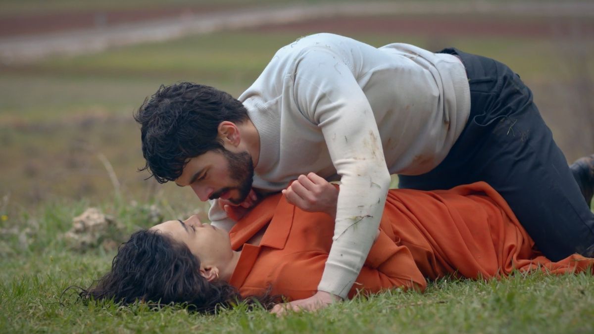 "Ветер любви" "Ветер любви"