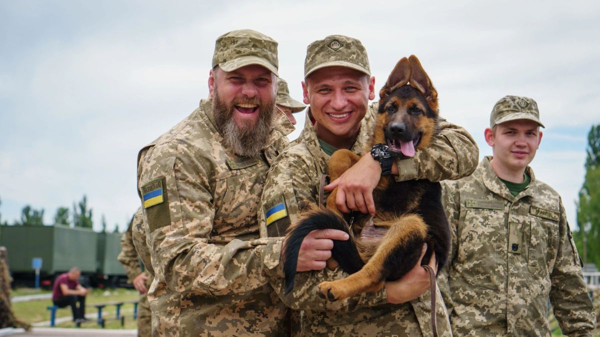 Серіал "Прикордонники" Серіал "Прикордонники"