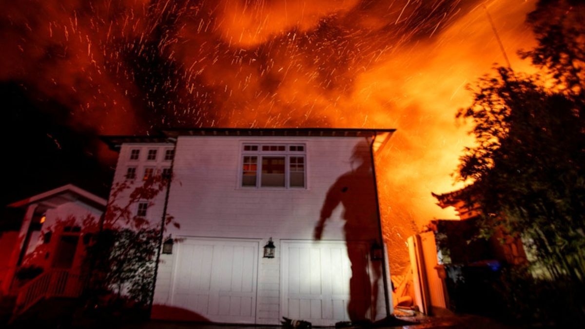 Лісові пожежі в Голлівуді Лісові пожежі в Голлівуді