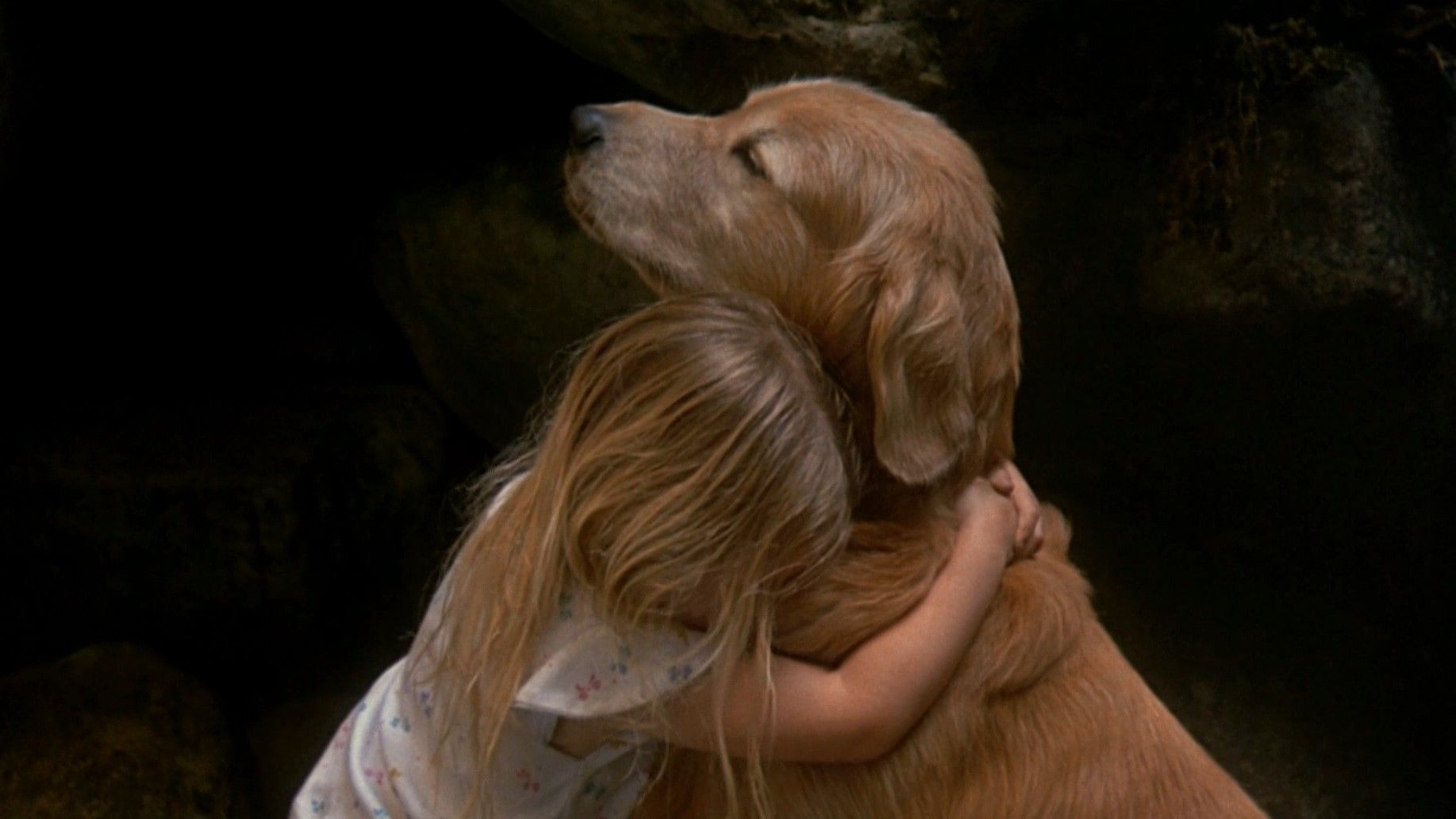 Фільми для сім'ї Фільми для сім'ї