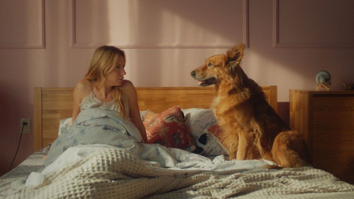 Украинская комедия Украинская комедия