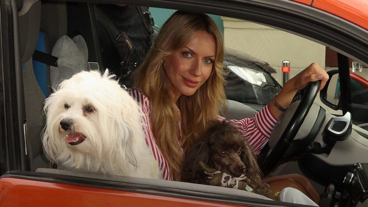 "Песики" "Песики"