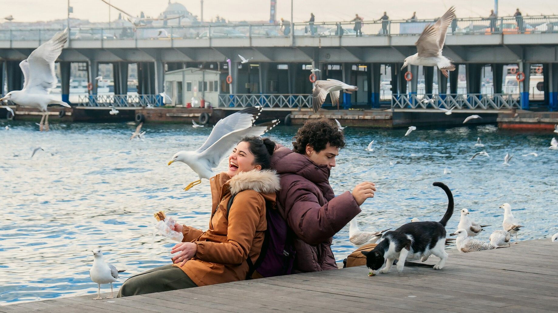 Турецкие сериалы