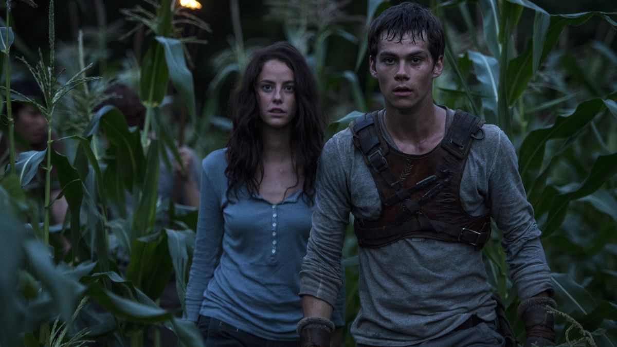 Фильм "Бегущий по лабиринту" Фильм "Бегущий по лабиринту"