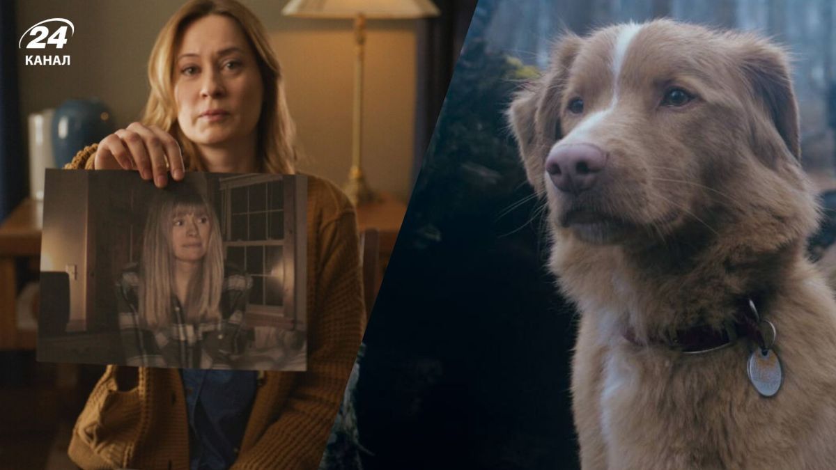 Самые новые фильмы ужасов Самые новые фильмы ужасов