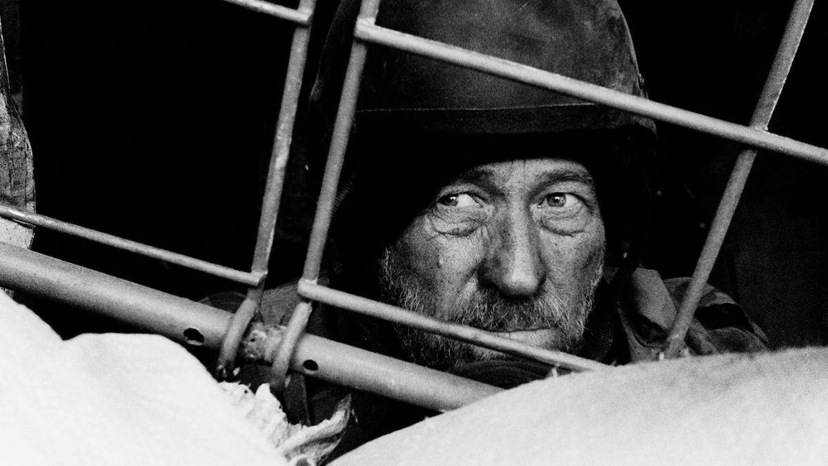 Фильм "Киборги"